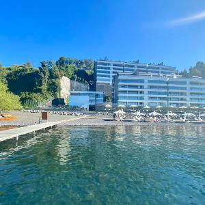 Panoramic View Lake Shore