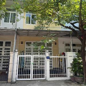 Tụi mình homestay