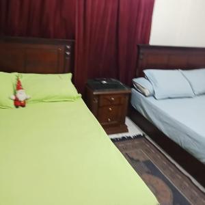 شقة اسكندرية