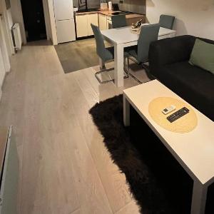Cozy apartment 1BDR apt