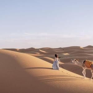 Sahara serenity camp