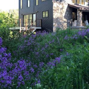 Wildflower Sundance Utah
