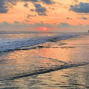 Costa Rica Beach Bungalow