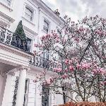 Kensington Luxury Penthouse And Studios
