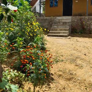 BREEZE GARDEN MUD HOUSE Home Stay