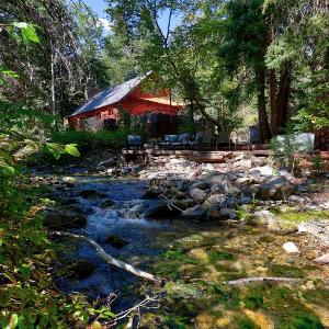 The Bungalow on the stream