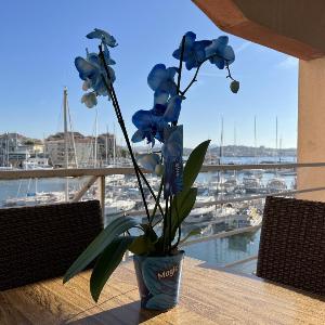 Cap Hermes 200 residence avec piscine et vue port