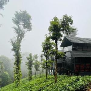Fresh Wave Resort With Private Pool Tree House - Soochipara - Wayanad