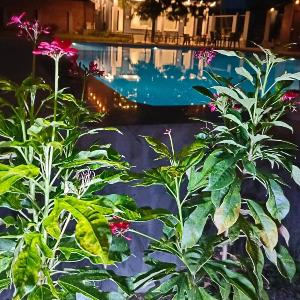Atithi Farms - 4 BHK Farm Villa with Private Pool