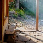 Holiday homes in Midway Utah