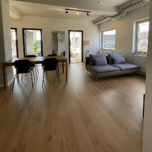 Norrebro big apt