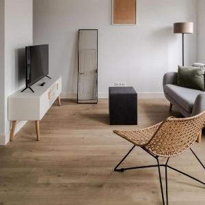 Cosy City Apartment in Rotterdam West
