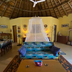 Beautiful traditional style studio