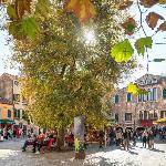 Ca D'oro Charming Apartment R&R Venice 