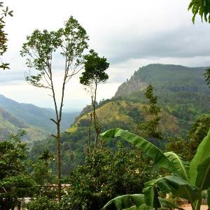 Bliss In Viya ella