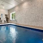 Dolly Bear Pool Cabin Make a Splash Smoky-Style