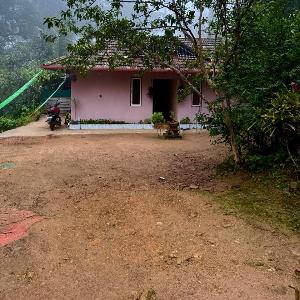 River stream Nest homestay