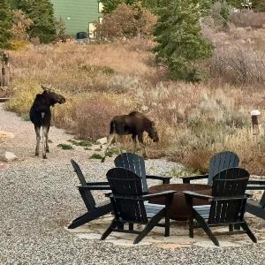 The Crestview Cabin Hot Tub & Alpine Views
