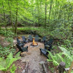 Beech Timber- 30 Acre Secluded Glamping in RRG