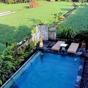 Beras Bali Suite