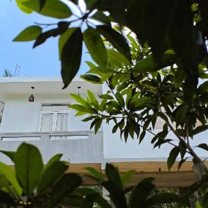 Lagoonai Villa