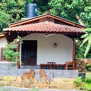 Deer House Hiriketiya