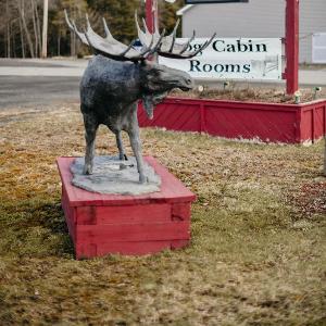Briarwood motor inn