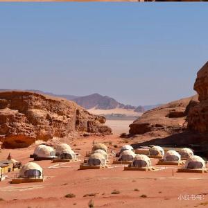 Bubble rum camp
