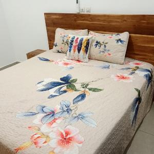 Appartement 2 à 3 pièces Tout Confort Calme - Colibri