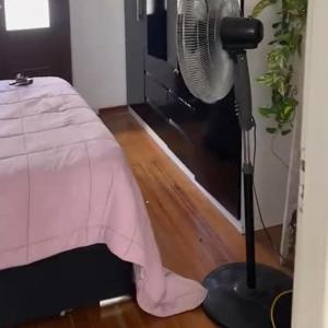 Apartamento entero 2 Dormitorios