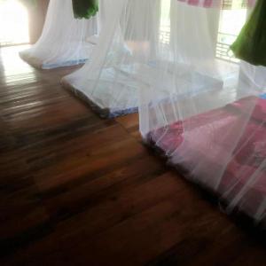 Homestay bên bờ suối