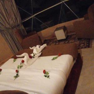 Wasan Camp Wadi Rum