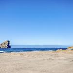 The Crab Trap Oregon