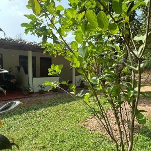 Sigiri sandaru Home stay