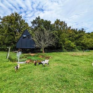 Fountainside A Frame TreeHouse Romantic Nature Farm Getaway