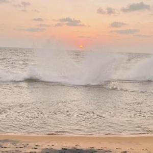 Ocean Luxe - Beachfront Stay with Infinity Pool
