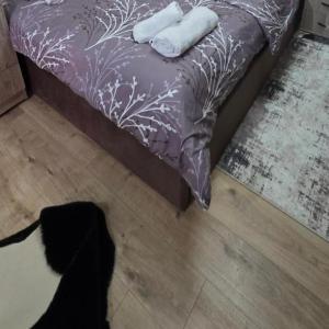 Noeli's Apartment