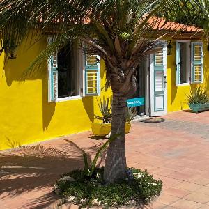 Mereri downtown apartments apartment 13C