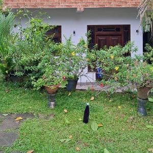 Nishani Residence