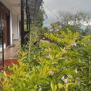 Comfort Castle Inn