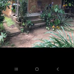 The Mud House