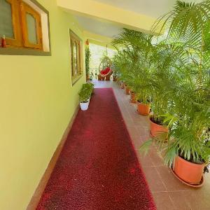 Whitelily's Amrithasthanam