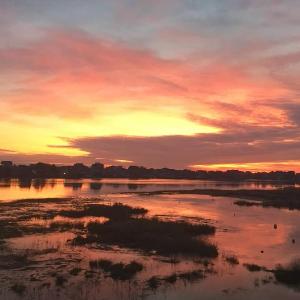 Sunrise Paradise