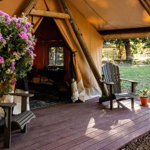 Luxury Duck Pond Glamping Hot Tub Alpacas Stars