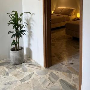 Casa Celisa