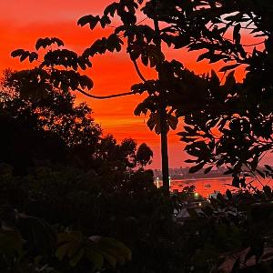 Cabana aracuã