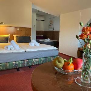 Elbhotel Dresden by AURUM