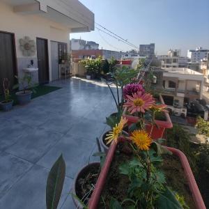 Jaipurnesthomestay