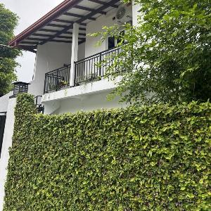PeaceRest Guest House