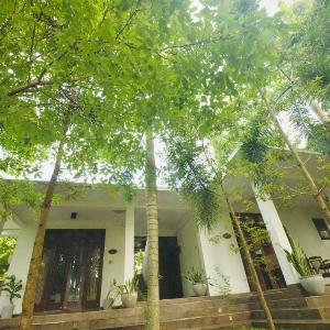 Bananas Palm Villa